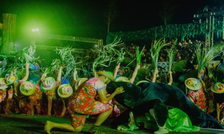 O espetáculo de cores, bailados (coreografias) despertaram a força dos encantos e lendas amazônicas