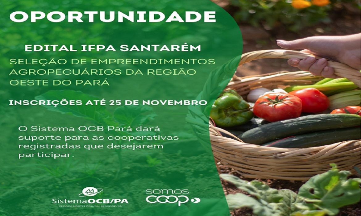 O programa visa cooperativas e associações da agricultura familiar, promovendo o desenvolvimento sustentável e impulsionando a eficiência das organizações que atuam no setor