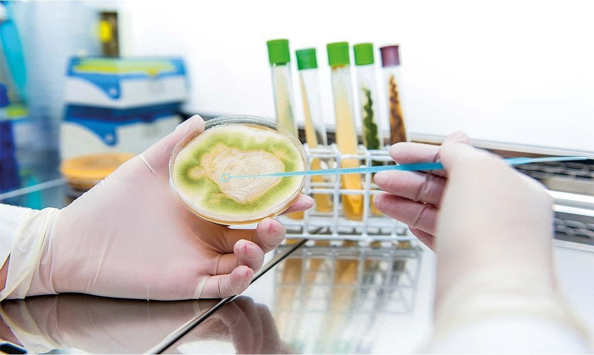 Câmara aprova projeto que regulamenta produção de bio-insumos agrícolas