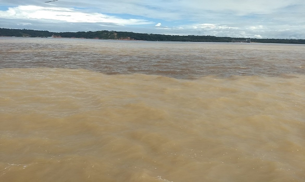 Quatro das cinco atividades e 16 das 27 unidades da federação investigadas mostraram expansão frente ao mês anterior