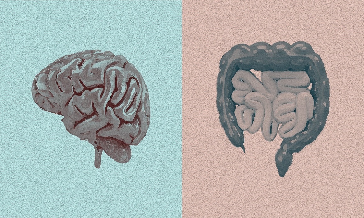 “Antigamente se falava em distúrbios gastrointestinais funcionais e, atualmente, essas condições foram rebatizadas para interação cérebro-intestino