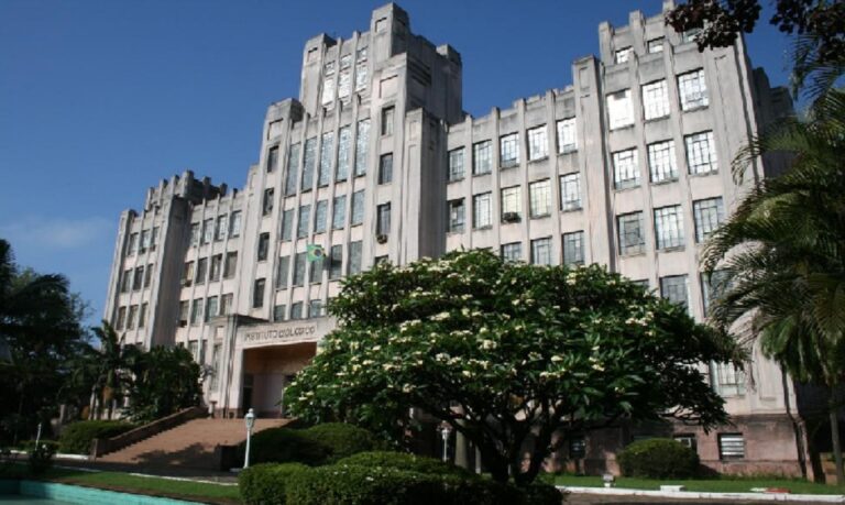 As inscrições estão abertas a candidatos brasileiros e estrangeiros