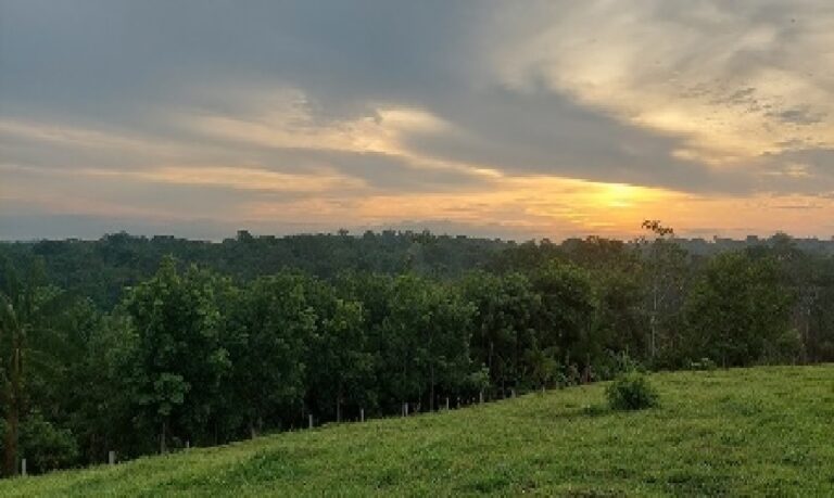 O curso é resultado do projeto “Inovações para o Desenvolvimento Sustentável da Amazônia Brasileira
