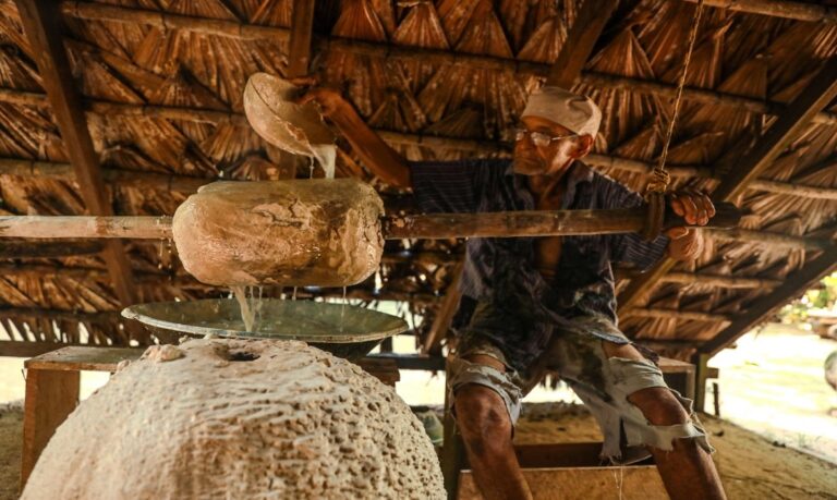 A Amazônia é um dos palcos e o Amazonas já foi cenário de vários clássicos da sétima arte e da televisão