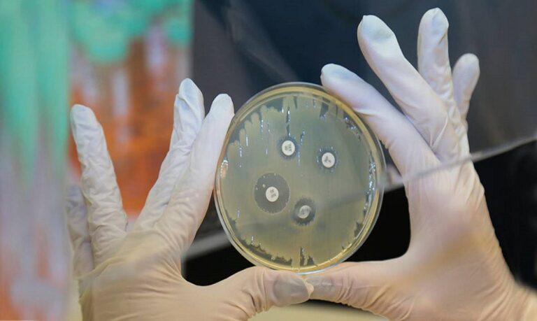 Pesquisa é desenvolvida no Laboratório de Bioquímica e Biologia Molecular de Microrganismos, vinculado ao Centro de Pesquisa em Biologia de Bactérias e Bacteriófagos