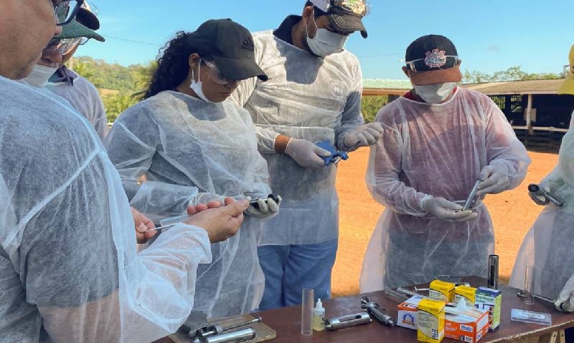 O produtor deve adquirir a vacina em estabelecimentos comerciais de produtos de uso veterinário