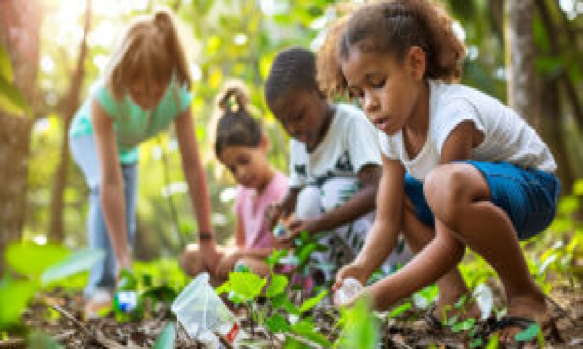 A educação ambiental é advinda de um longo processo de fortalecimento da noção de participação da população.