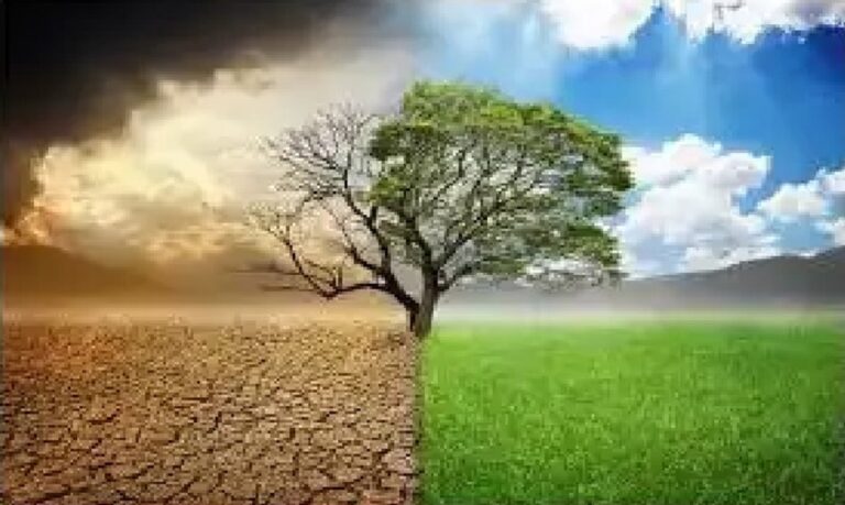 O Comitê de Basileia publicou um importante relatório abordando o impacto das mudanças climáticas no setor bancário.