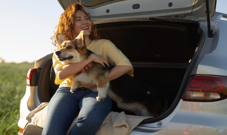 Antes de pegar a estrada e aproveitar a viagem, o ideal é sempre checar a vacinação do pet.