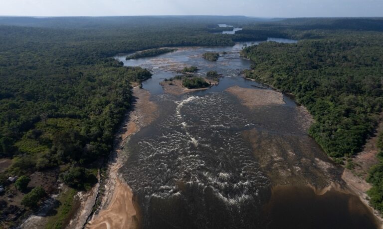 O ambiente alterado de um lugar de correnteza para um lago vai ter um impacto muito forte nas espécies que vivem nessas áreas.