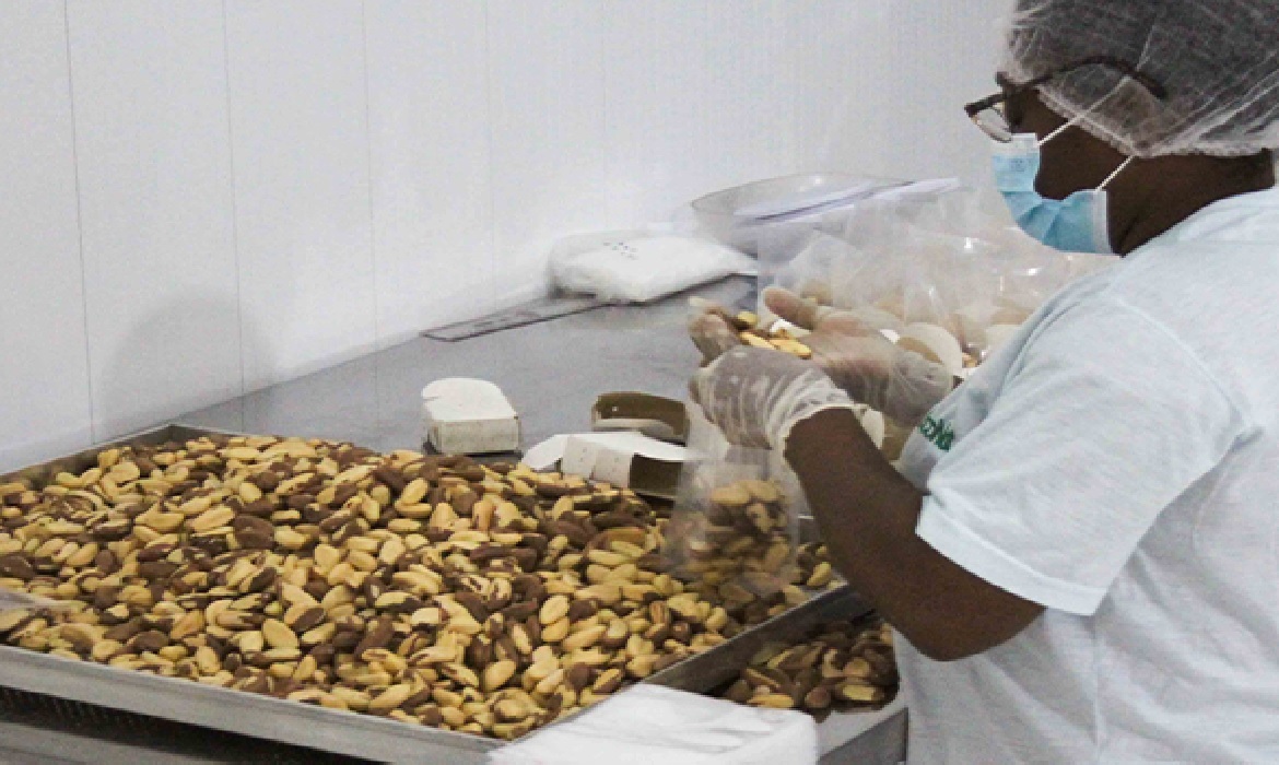 O objetivo é que a bioeconomia contribua para o desenvolvimento sustentável do estado e para a preservação ambiental.