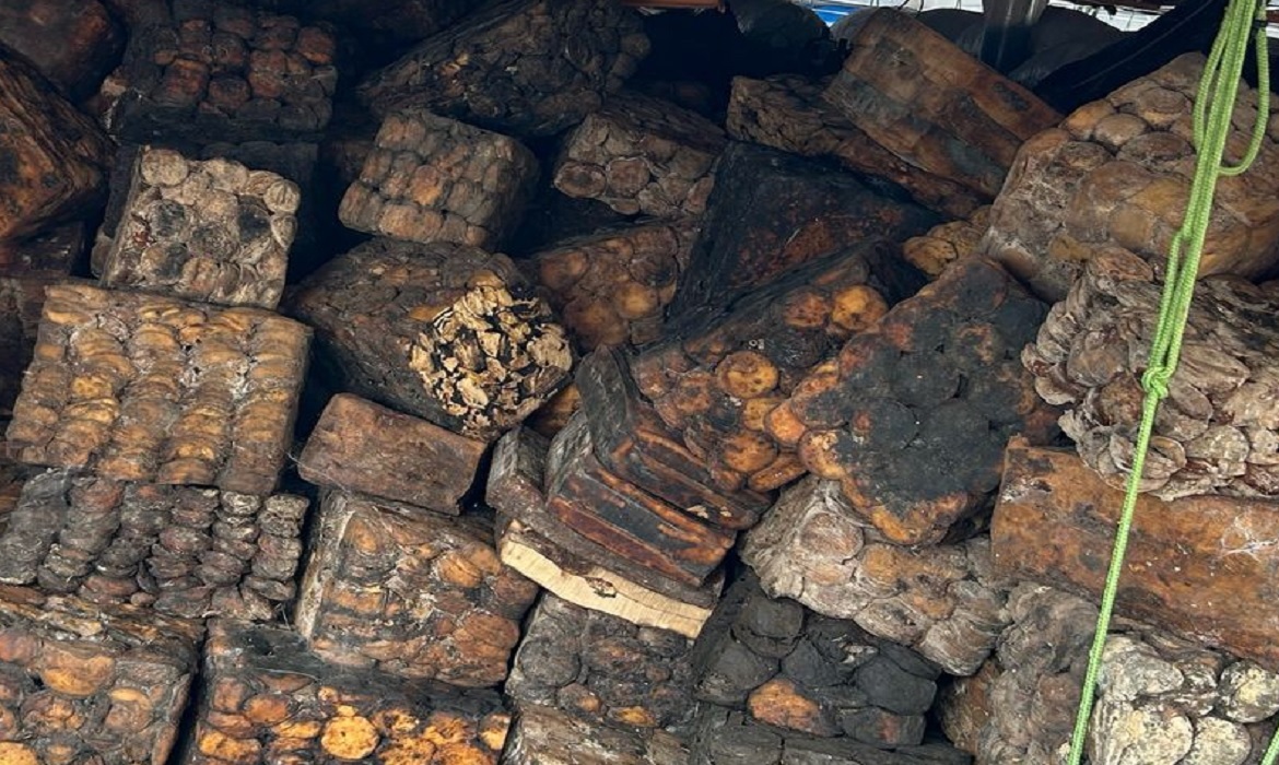 A seca histórica que afetou o Amazonas entre 2023 e 2024 impactou diretamente a atividade, dificultando o transporte e o acesso a insumos essenciais.