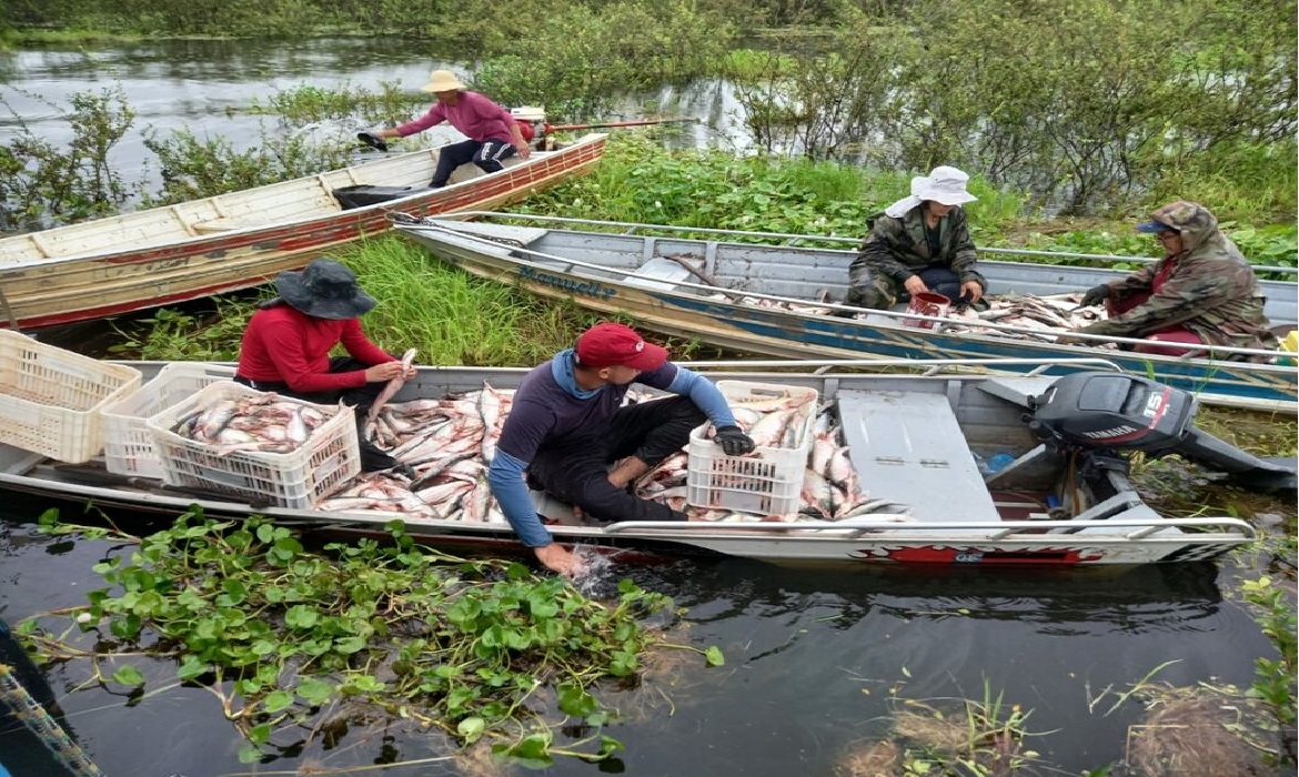 O encontro de negócios antecede o início do novo período de pesca do mapará.