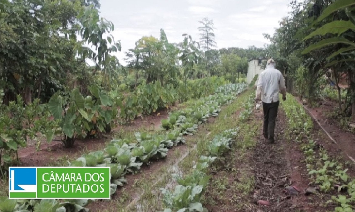 É comum que a dívida seja transformada em uma dívida bancária comum, sujeita a encargos e condições diferentes das originalmente pactuadas.