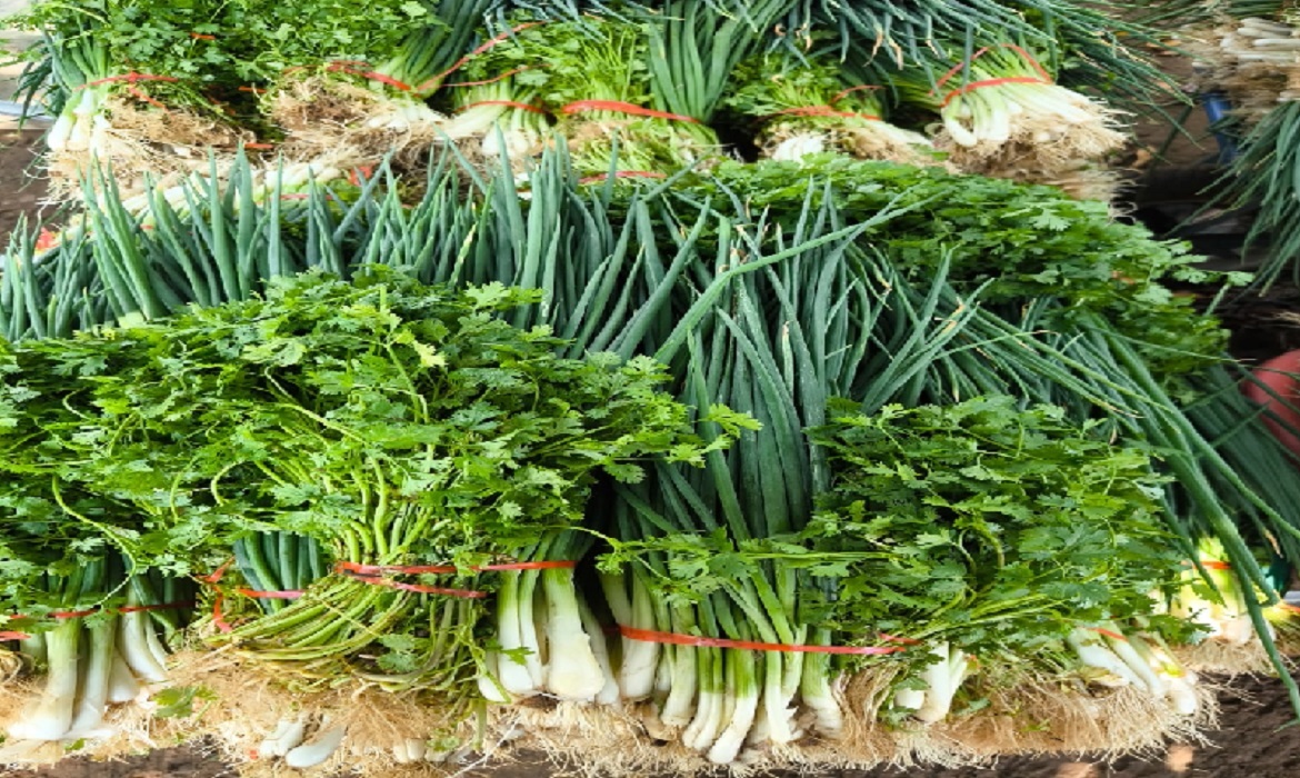 Para este ano, estão no cardápio escolar cerca de 31 unidades de gêneros alimentícios.