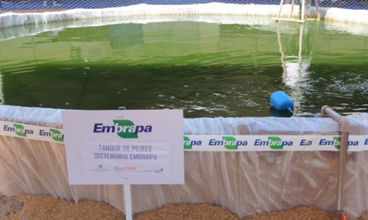 O aumento da produção terá de ser feito sem impactar florestas e áreas de preservação.