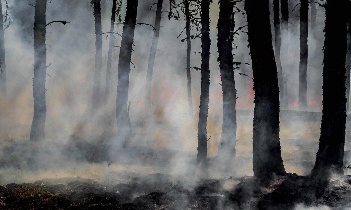Pesquisadores identificam evidências de paleo incêndios na região de Rondônia muito antes da ocupação humana, indicando influência climática.