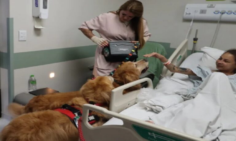 A terapia assistida por animais tem respaldo científico e já se mostrou eficaz na redução do estresse.