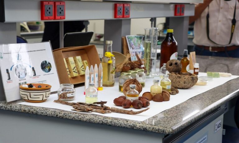 A proposta do plano é fomentar cadeias produtivas sustentáveis, valorizando os produtos regionais.