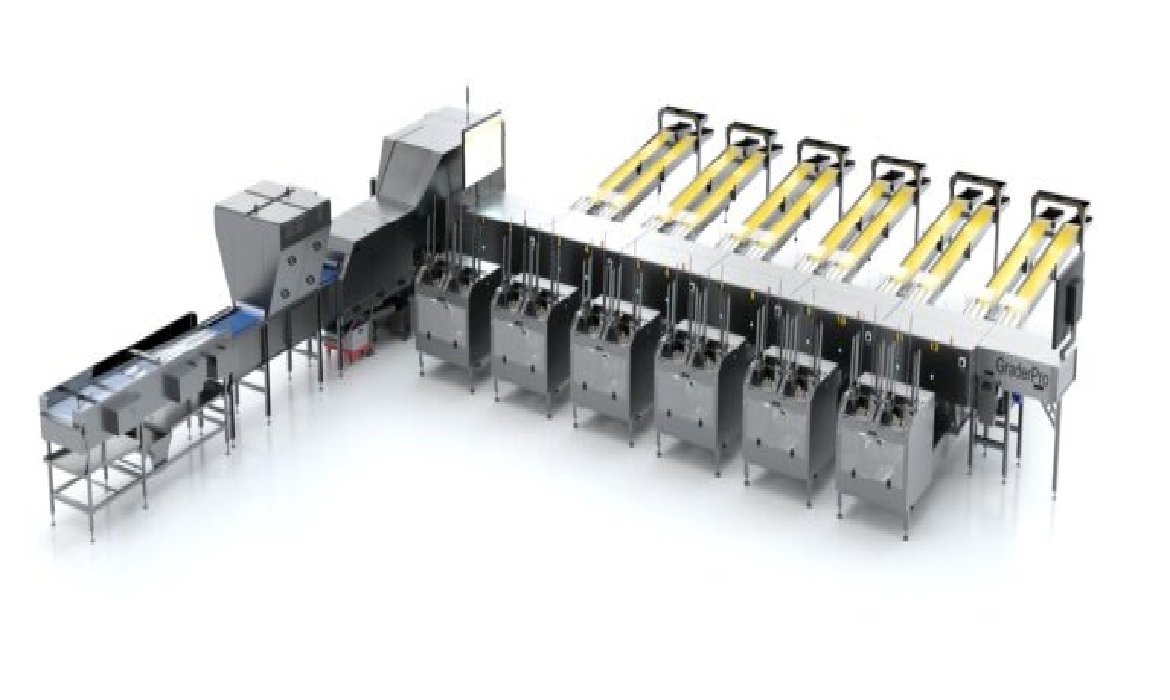 Classificando seus ovos com tecnologias avançadas a um preço acessível.
