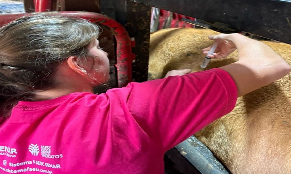 Produtoras mostram que o campo é lugar de todas e todos; mulheres ganham cada vez mais espaço no setor que antes era ocupado por homens.