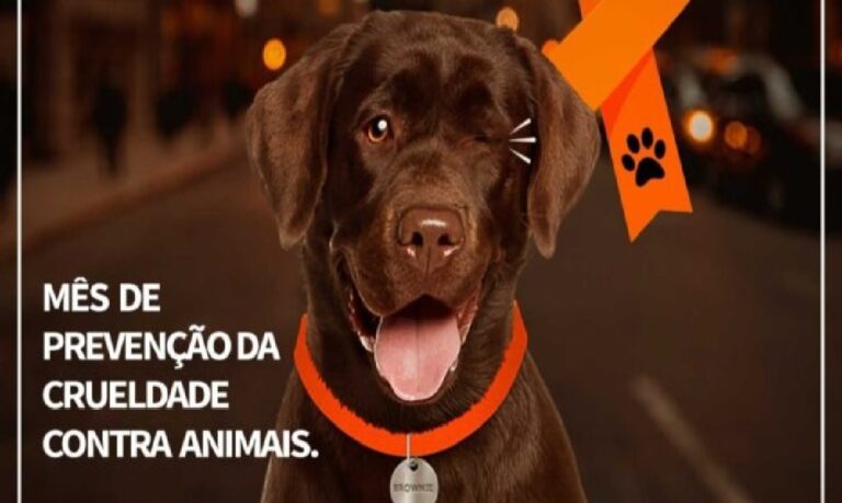Respeitar o direito dos animais é o objetivo da campanha Abril Laranja.