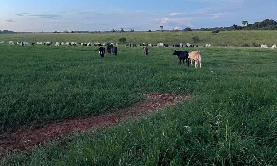 O evento é amparado pelo Programa de Apoio à Realização de Eventos Científicos e Tecnológicos no Estado do Amazonas (Parev), da Fapeam.