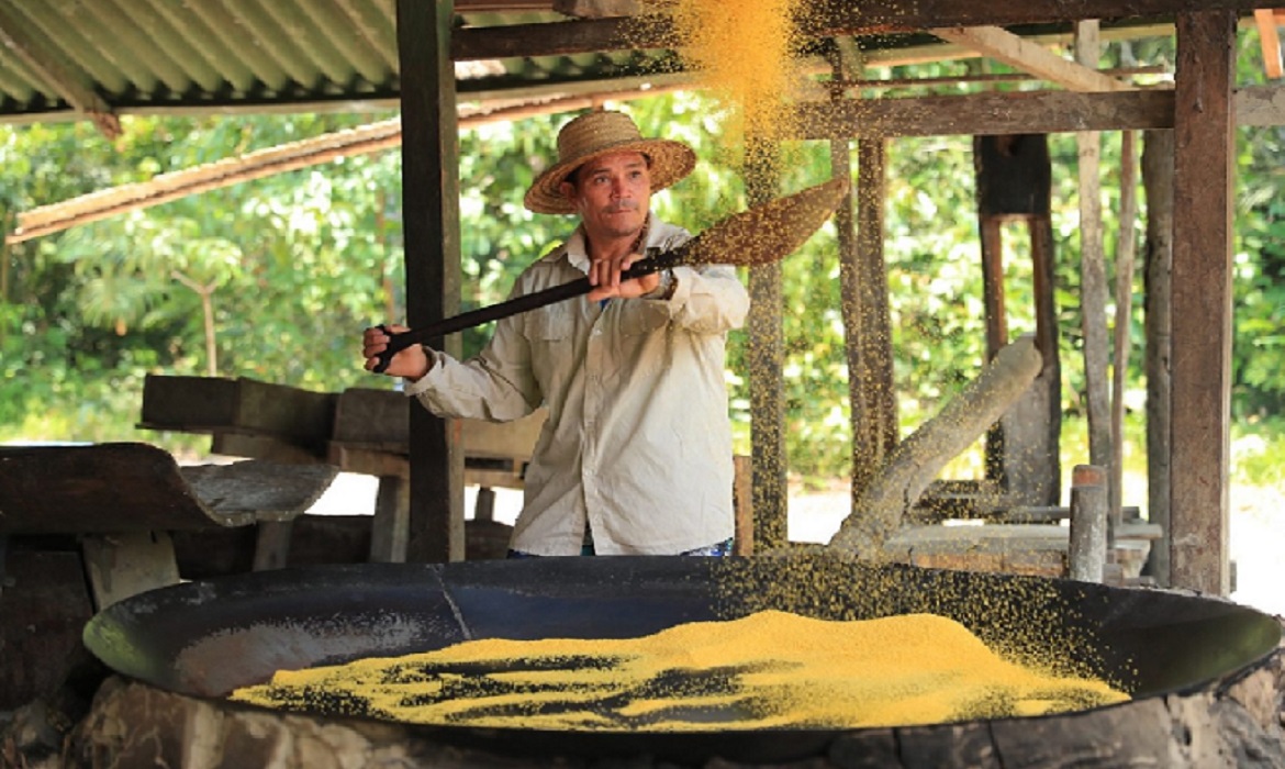 O objetivo é fortalecer a geração de renda nas Unidades de Conservação, mostrando ser possível aliar a proteção da floresta com o desenvolvimento econômico.