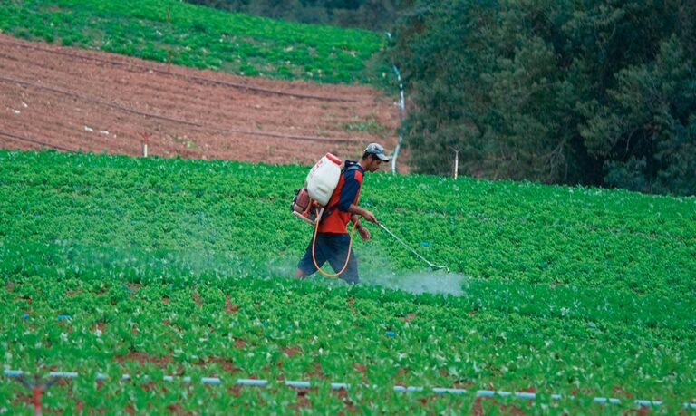 Além de impactos às plantações, os agrotóxicos geram sérias consequências para aqueles que os manuseiam diretamente.