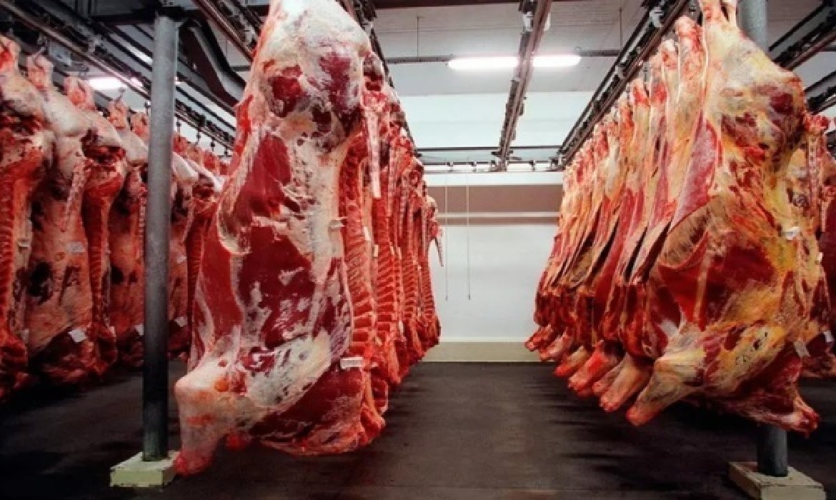 O Brasil é um dos maiores produtores e exportadores mundiais de carne bovina, com um faturamento considerável em 2024.
