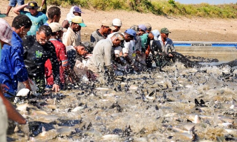 O objetivo do Governo é transformar o Tocantins em referência nacional em governança digital da pesca e da aquicultura.