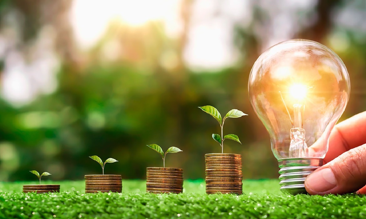 Os próximos passos envolvem o fortalecimento da rede e a execução do planejamento estratégico, com ênfase na articulação de políticas públicas que incentivem a bioeconomia e a inovação na região.