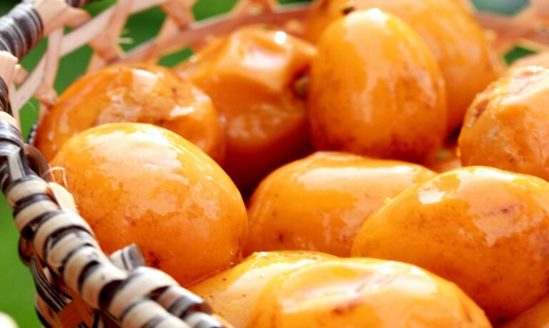 Entre seus principais atributos está o alto teor de vitamina C, essencial para o fortalecimento do sistema imunológico.
