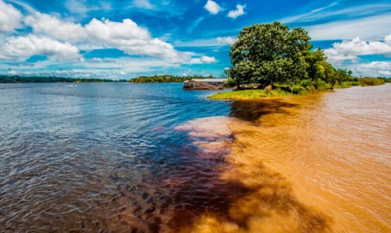 A Região Amazônica ganha protagonismo global, impulsionada pelo crescimento do fluxo internacional de turistas e pelos avanços na conectividade aérea.