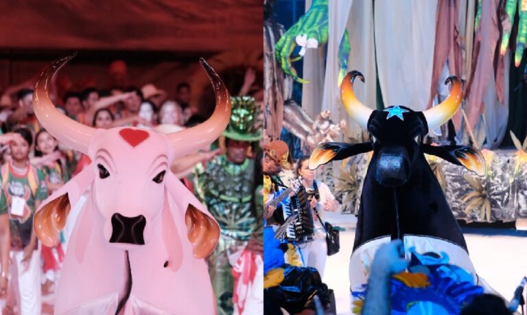 Neste ano, o Boi Garantido (vermelho e branco) entra na arena com o tema "Boi do Povo, Boi do Povão", exaltando suas raízes populares. Já o Boi Caprichoso (azul e branco) defenderá o tema “É Tempo de Retomada”, marcando um momento de renovação e força cultural.