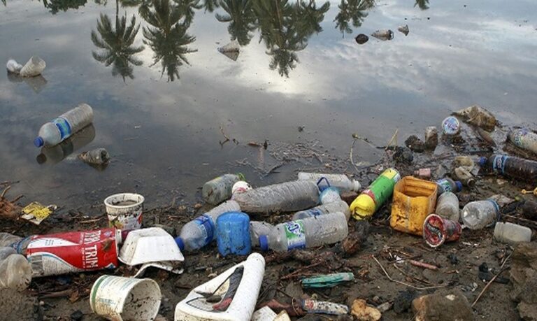 A ausência de saneamento básico e o descarte inadequado de plásticos contribuem para a contaminação dos rios, que são fontes de água e alimento para inúmeras espécies.