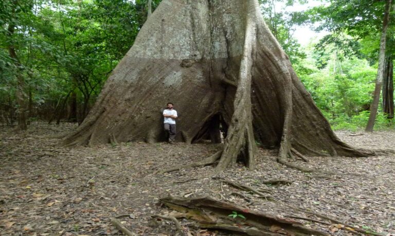 A intensificação dos extremos sazonais representa uma ameaça crescente à estabilidade ambiental e social da região.
