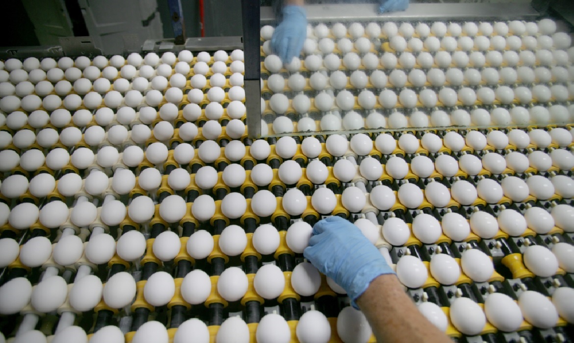 O setor cresceu 192% em volume exportado e alcançou receita histórica de US$ 57,8 milhões no primeiro semestre de 2025.