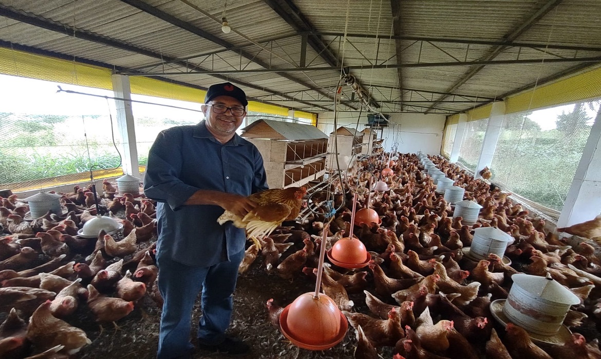 Projeções positivas reforçam o protagonismo do avicultor no crescimento do setor.