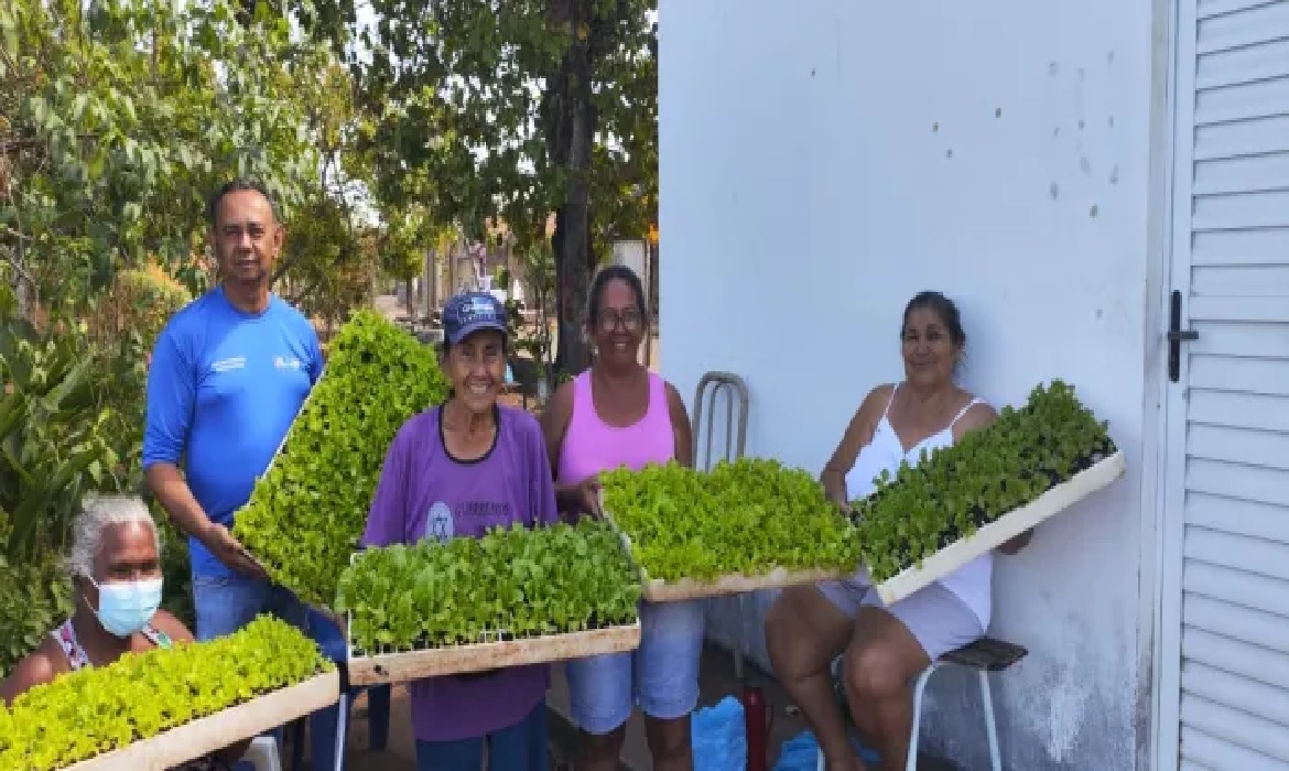 Produtoras da Horta Comunitária da Arno 31 receberam mil unidades.