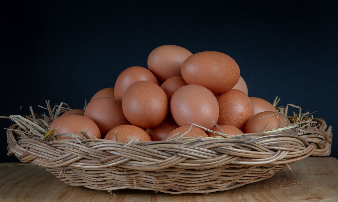 Versátil e nutritivo, o alimento pode ser incluído facilmente na rotina.
