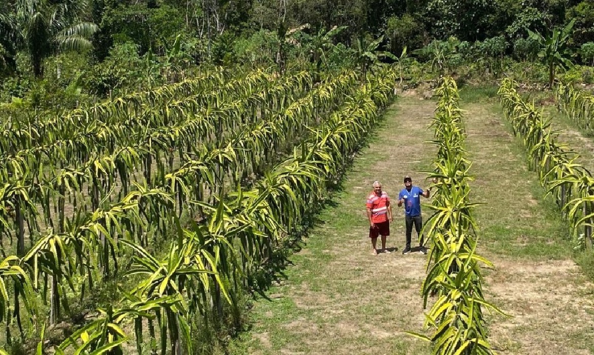 O Cartão do Produtor Primário (CPP) é um documento viabilizado pelo Idam que garante ao produtor rural uma série de benefícios.