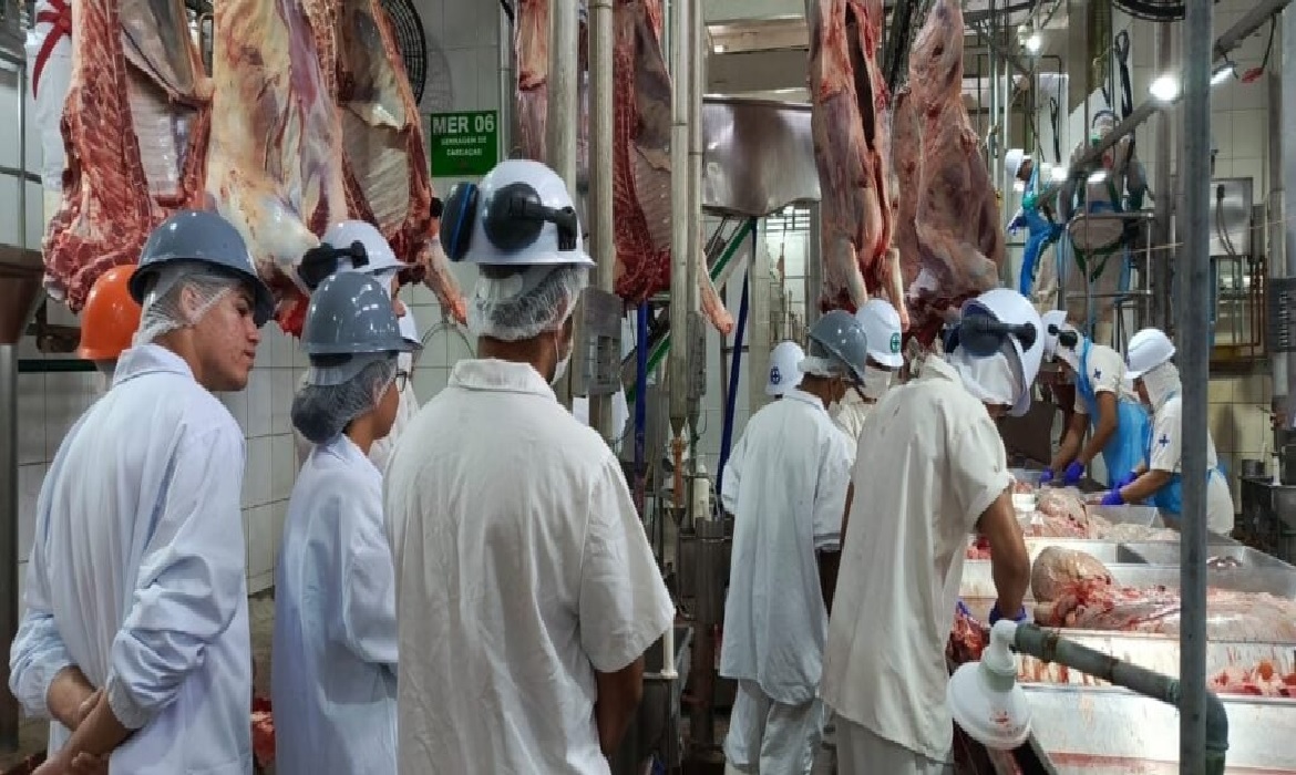 Inspeção identifica irregularidades e assegura alimentos seguros.