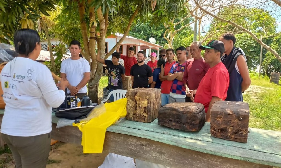 Iniciativa reforça o apoio ao extrativismo da borracha natural no estado.