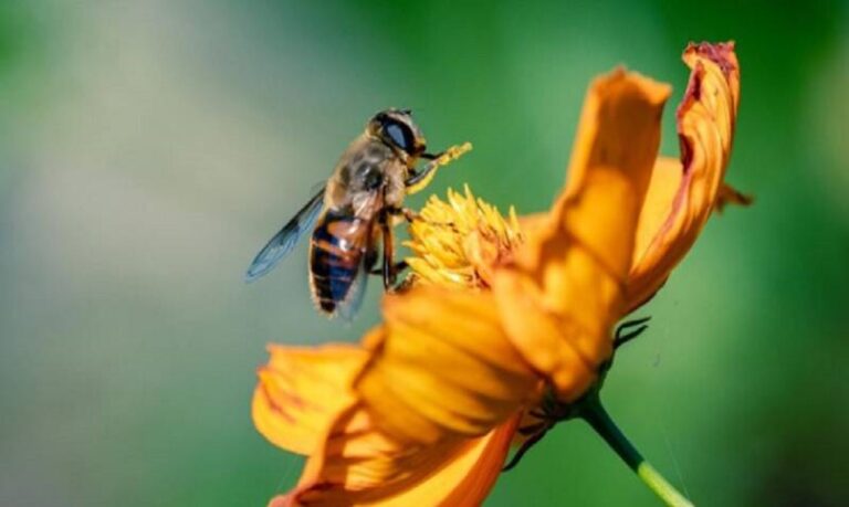 Fenômenos como equinócio e solstício influenciam a vida na Terra e carregam forte simbolismo.