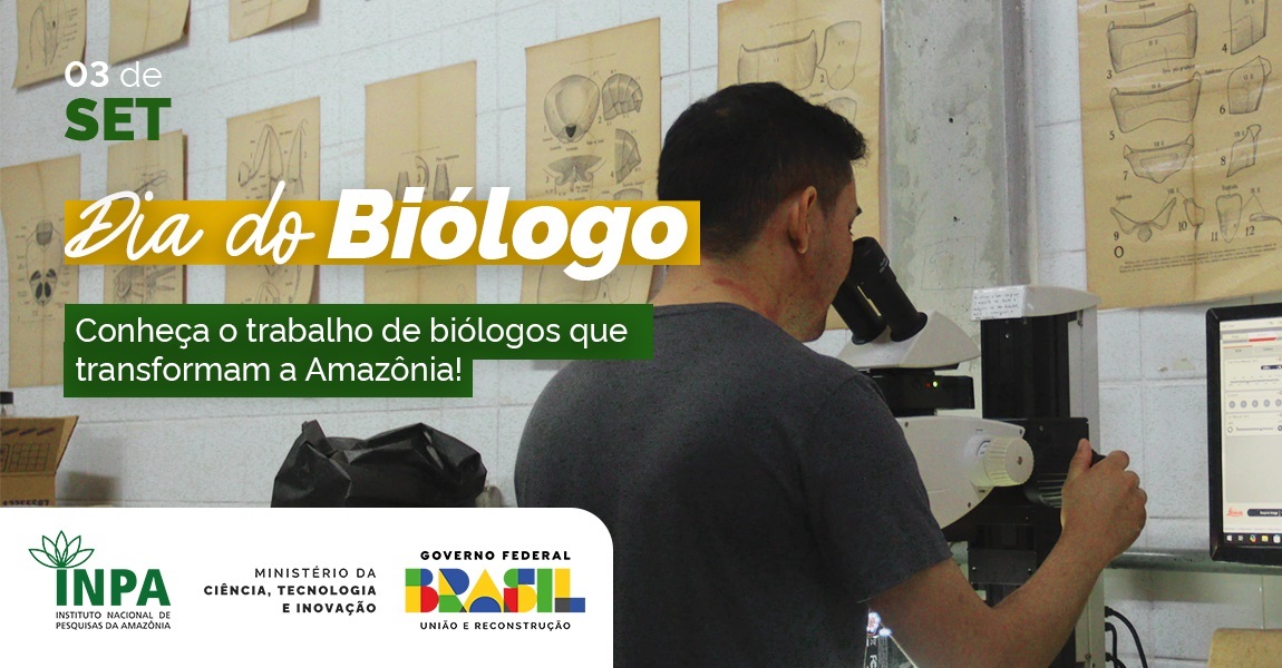 O estudo detalhou a morfologia dos insetos e identificou espécies do gênero Pseudisobrachium nunca registradas no Brasil.