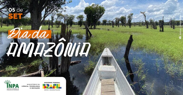 As conclusões vêm de projetos conduzidos pelo Grupo de Pesquisa em Ecologia, Monitoramento e Uso Sustentável de Áreas Úmidas.