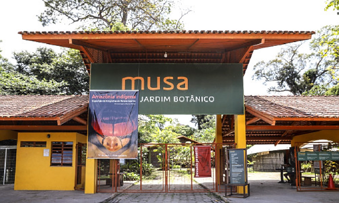 Em Manaus, o Jardim Botânico oferece trilhas educativas e uma torre de observação que revela a imensidão da floresta.