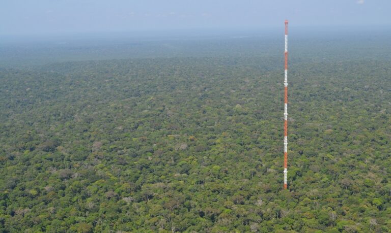 Além da floresta, o monitoramento meteorológico é parte essencial do projeto, ampliando a compreensão sobre as mudanças no bioma amazônico.