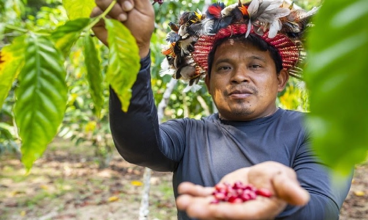 Foram realizados diagnósticos sobre a situação dos cultivos agrícolas para fortalecer a produção local.